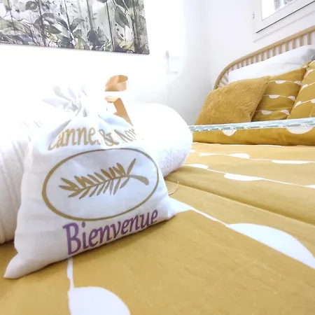 Apartment & Cannes